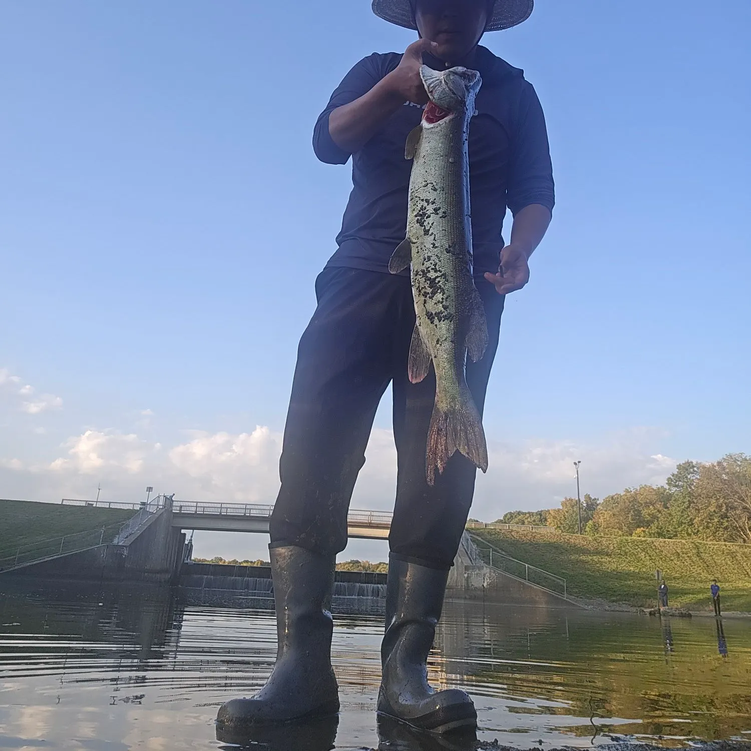 The most recent Muskie catches on Fishbrain