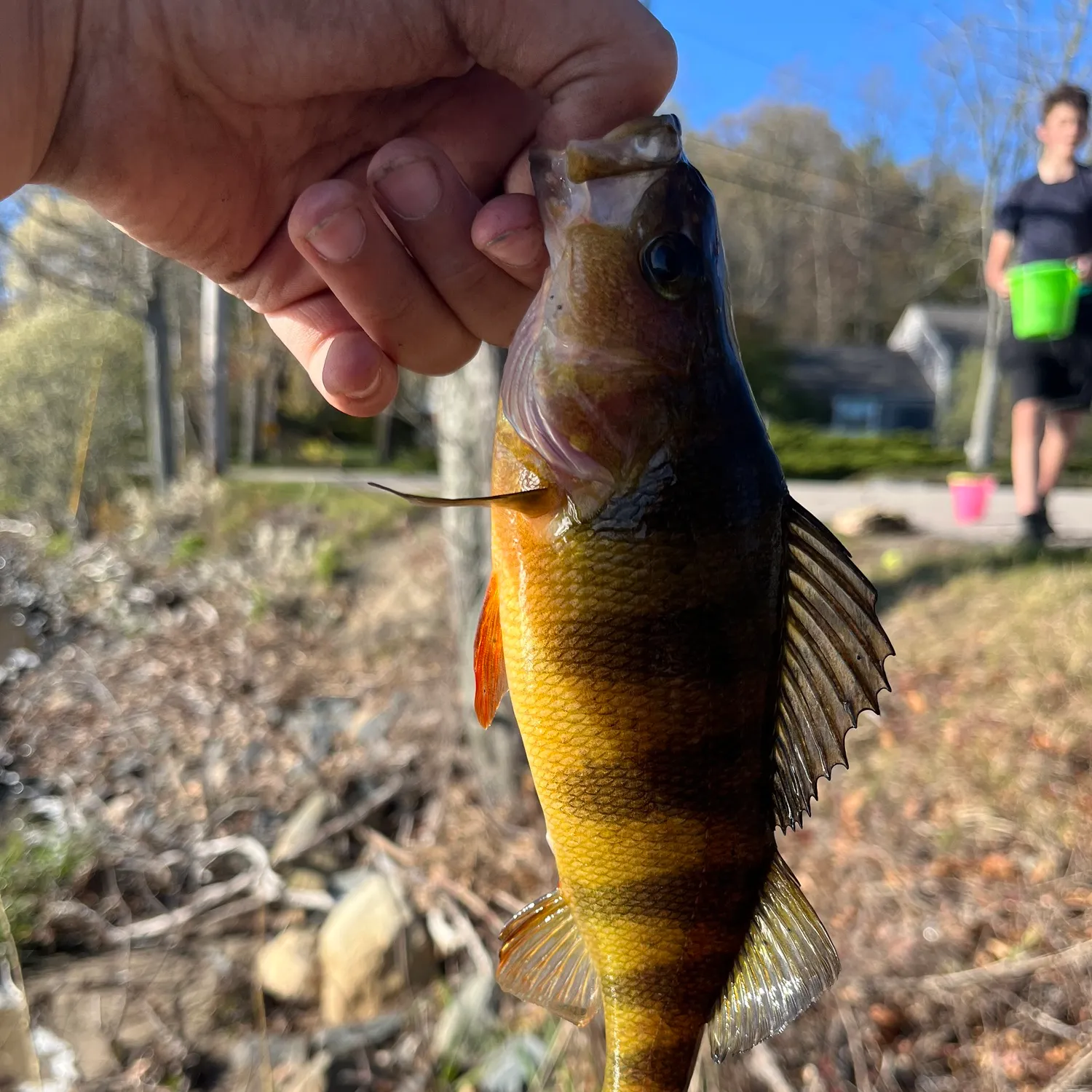 catch