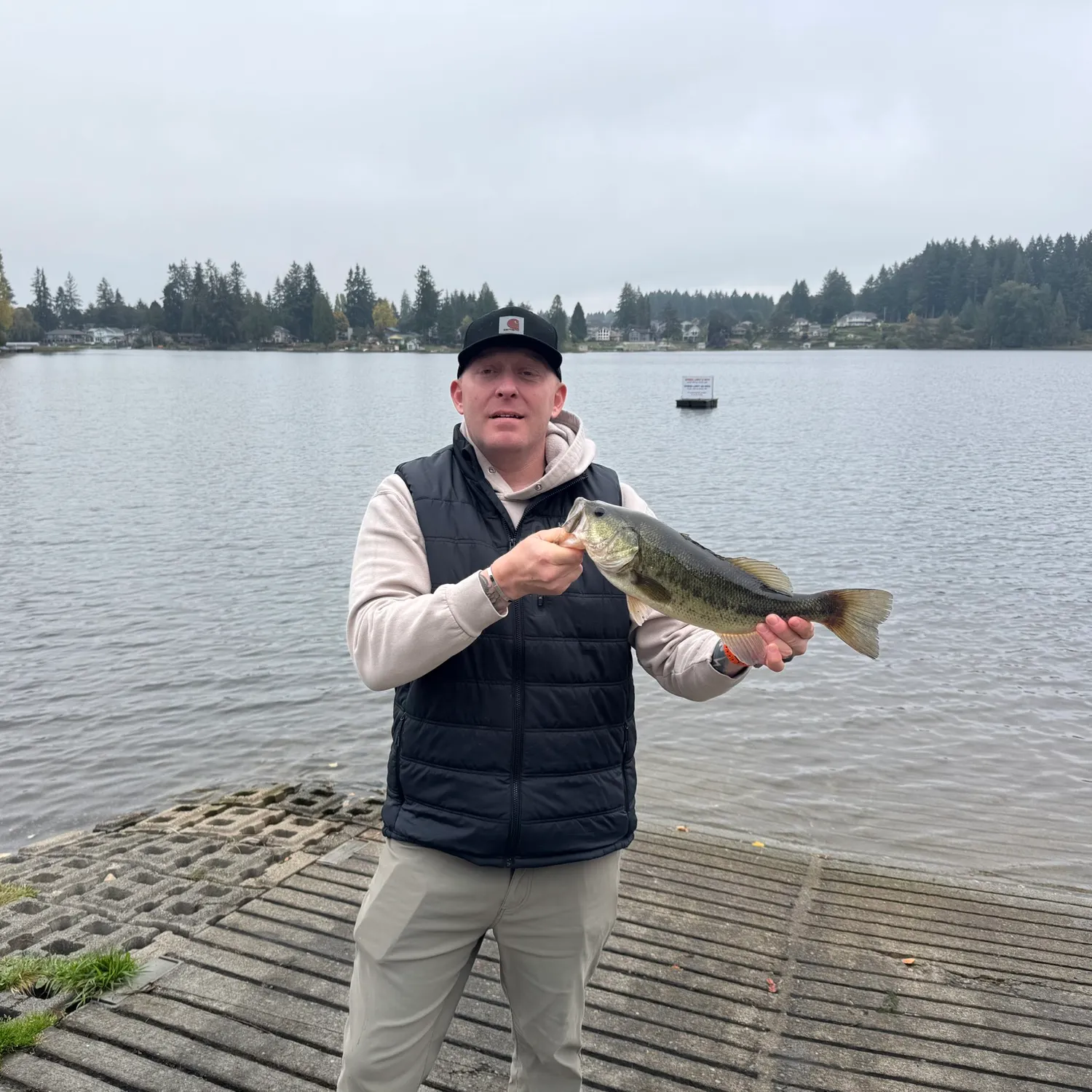 Largemouth bass caught on Fishbrain