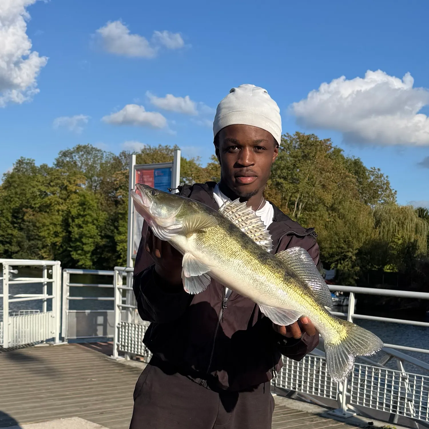 The most recent Zander catches on Fishbrain