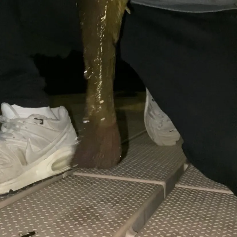 Yellow bullhead caught on Fishbrain