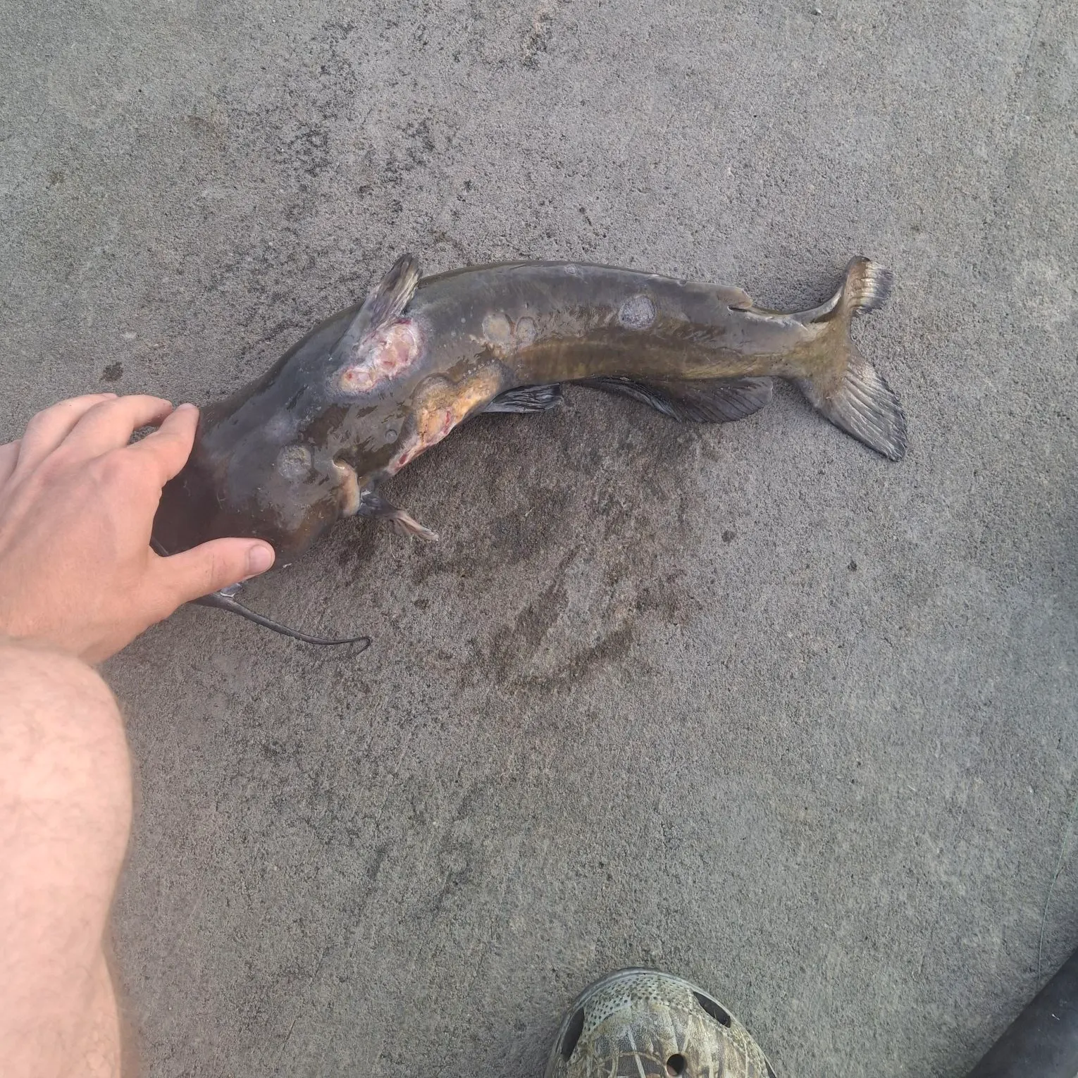 catch