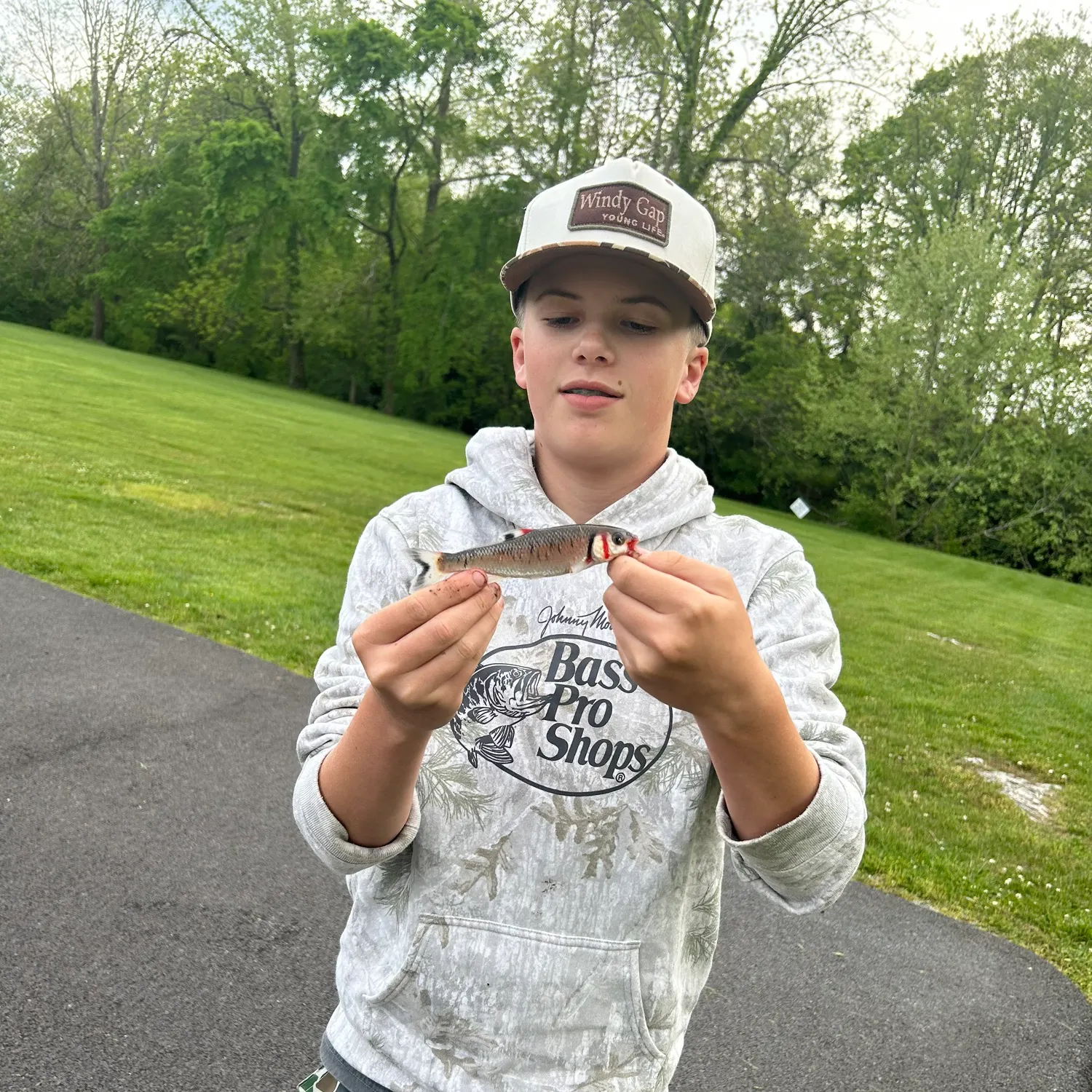 The most recent Warpaint shiner catches on Fishbrain
