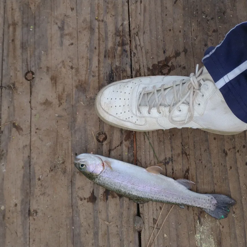 angler catch