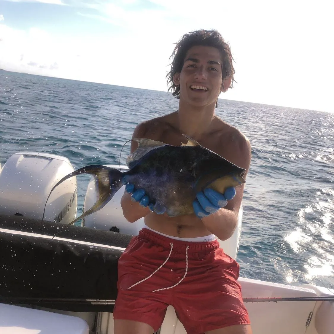 The most recent Queen triggerfish catches on Fishbrain