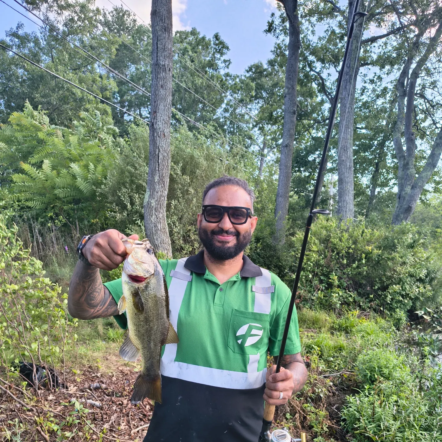 Largemouth bass caught on Fishbrain