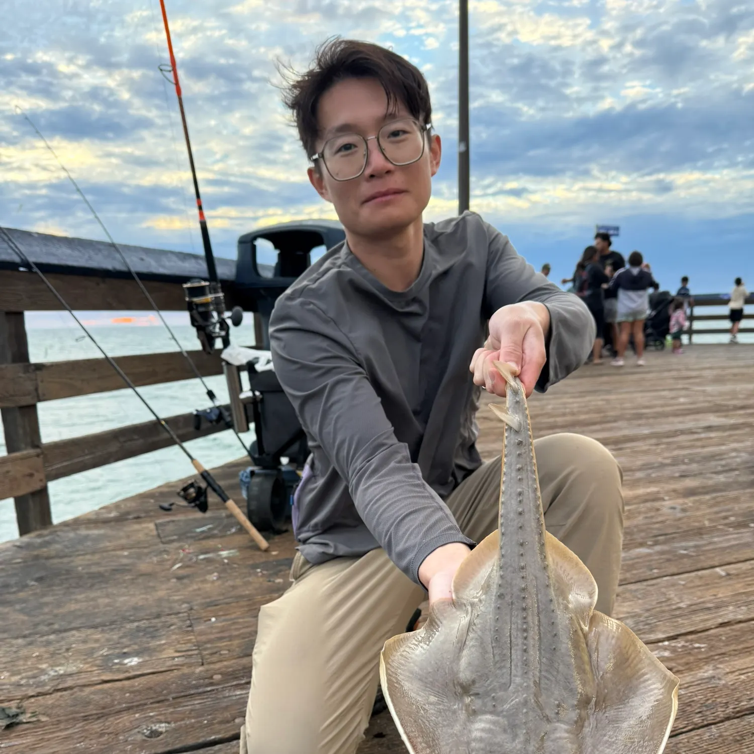 Thornback guitarfish caught on Fishbrain