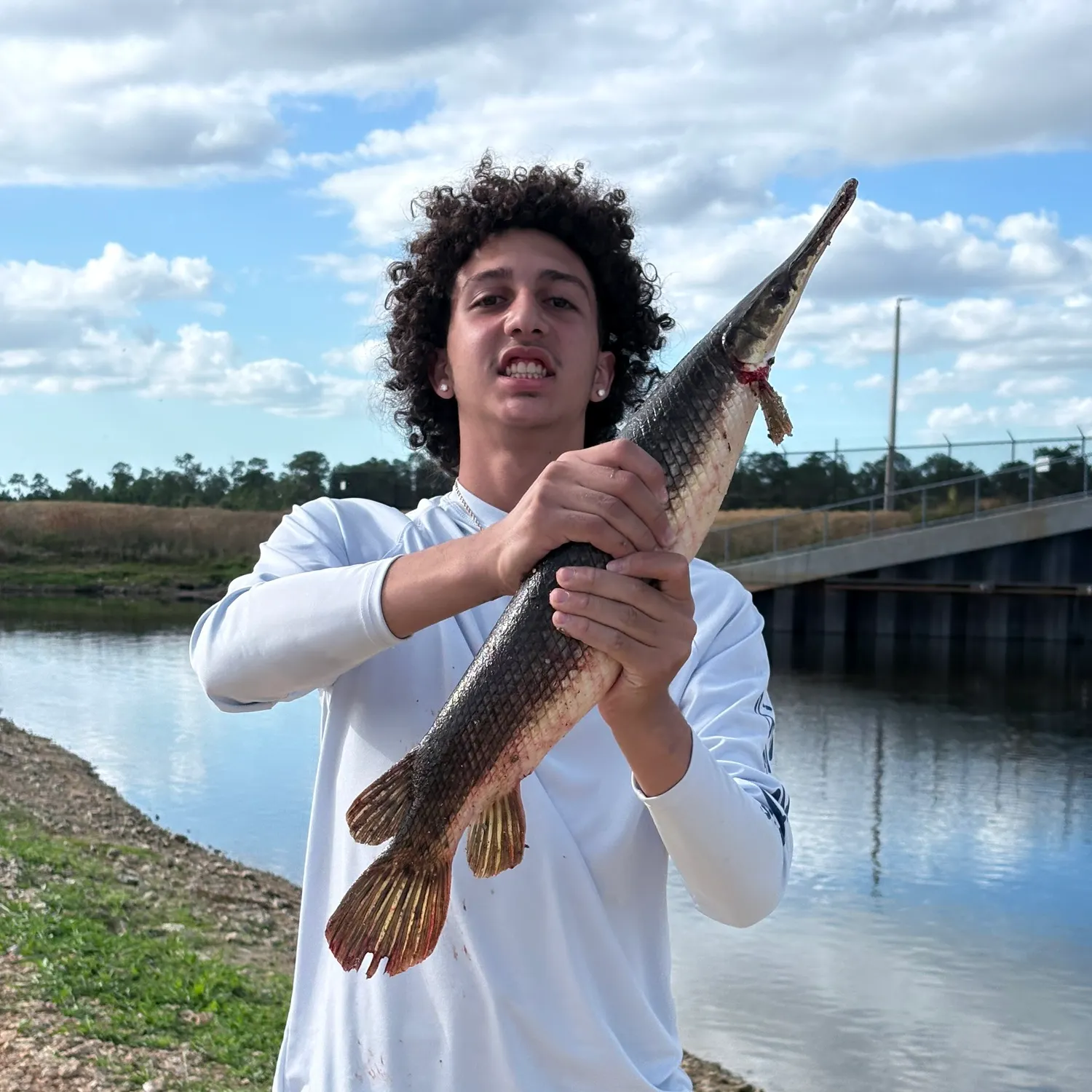 The most recent Florida gar catches on Fishbrain