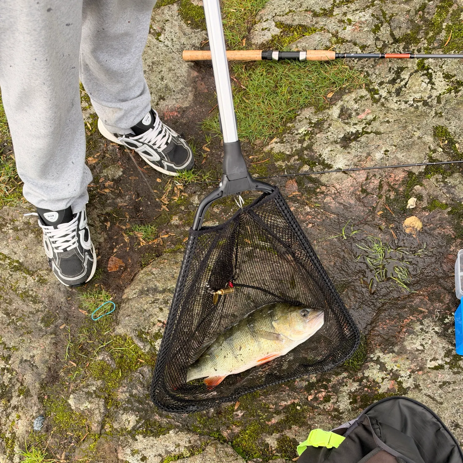 catch