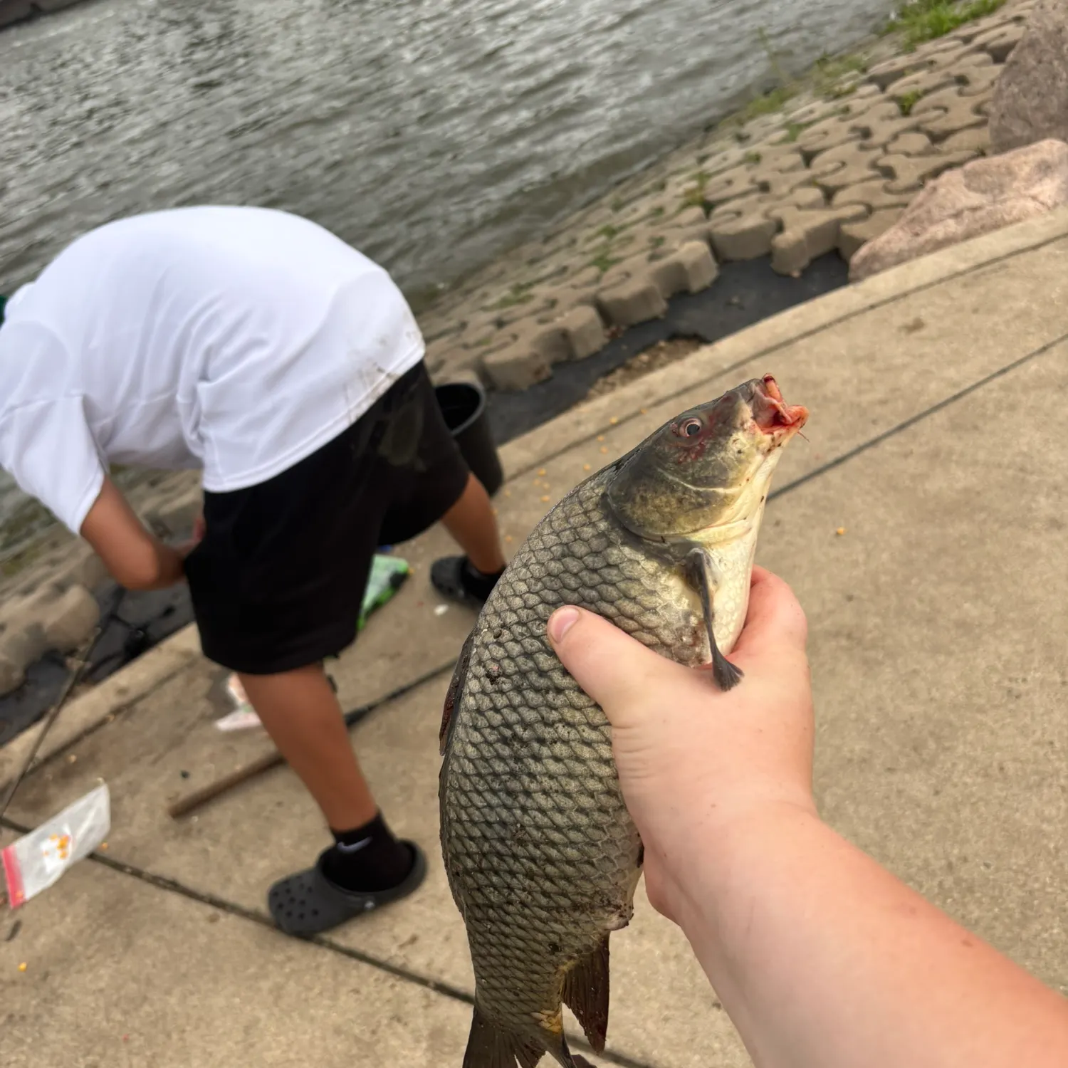 catch