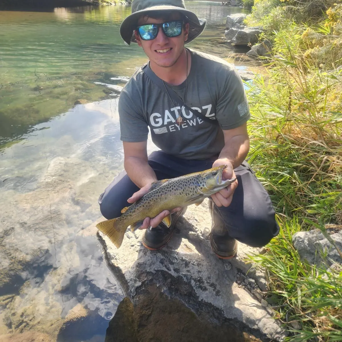 Brown trout caught on Fishbrain