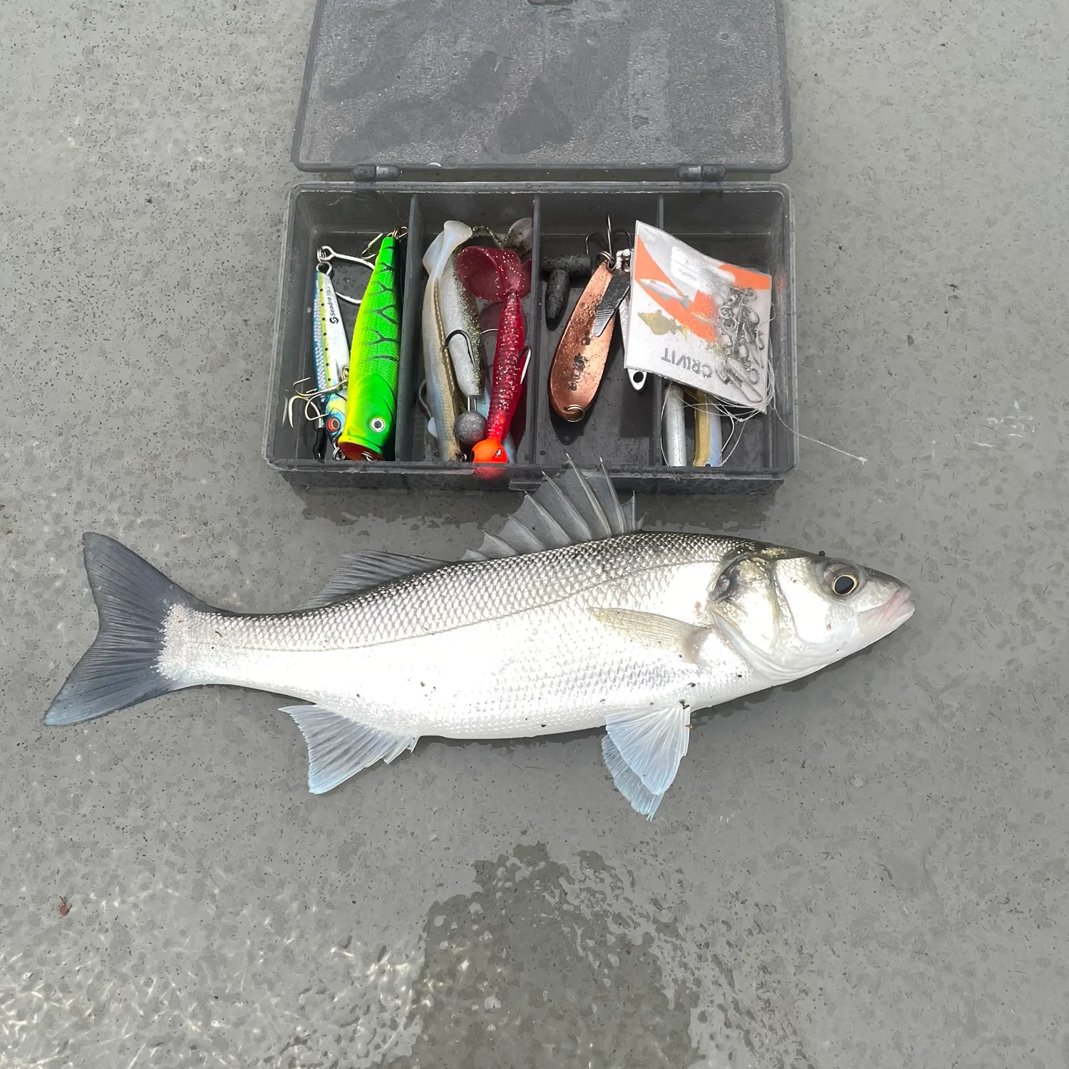 catch