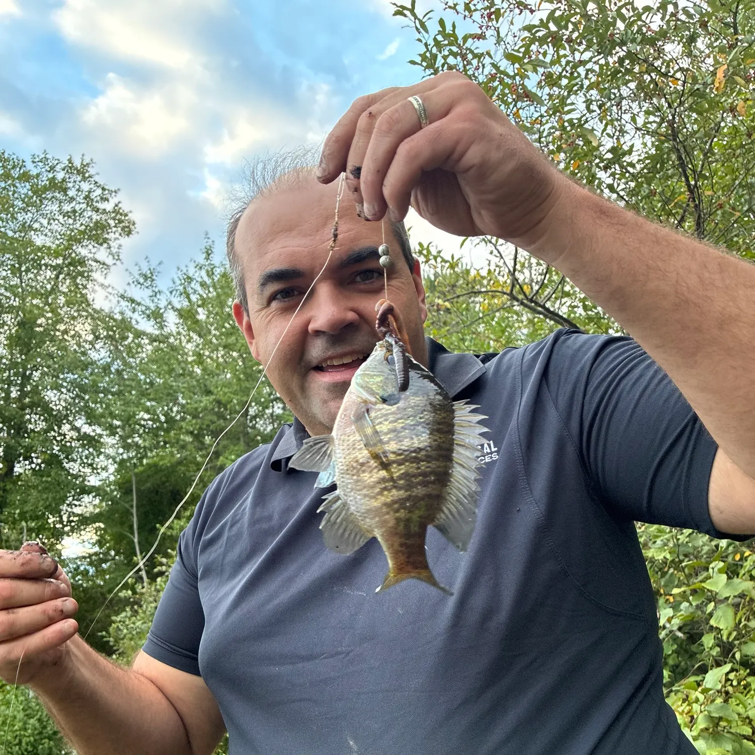 Bluegill caught on Fishbrain