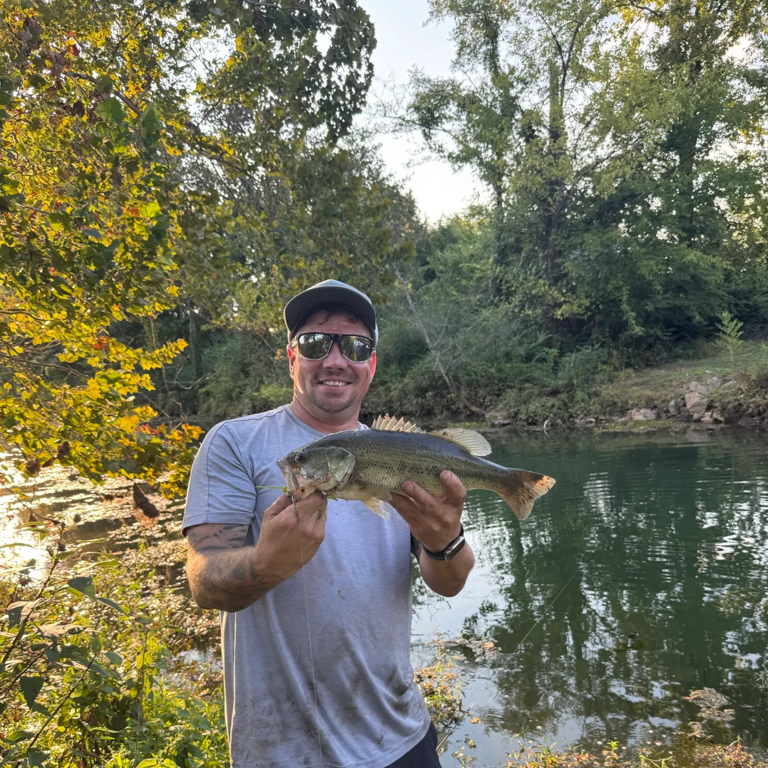 Largemouth bass caught on Fishbrain