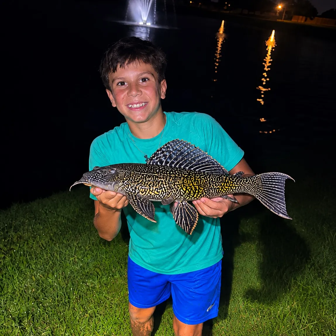 Suckermouth catfish caught on Fishbrain