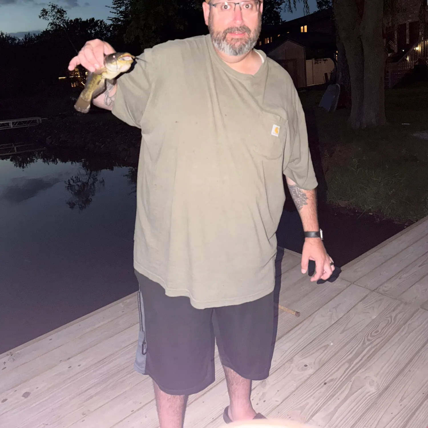 Yellow bullhead caught on Fishbrain