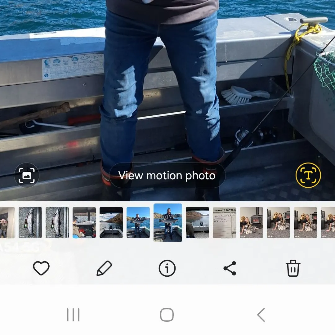 recently logged catches