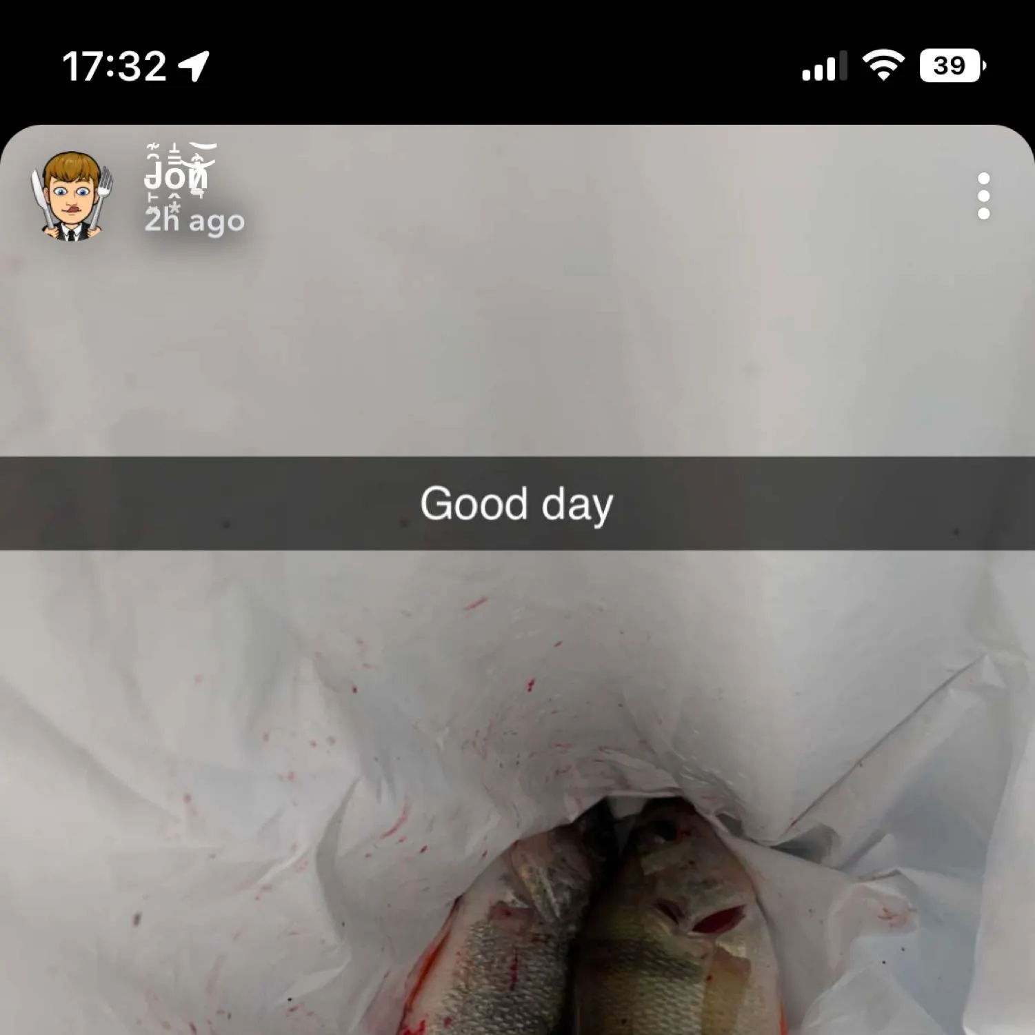 recently logged catches