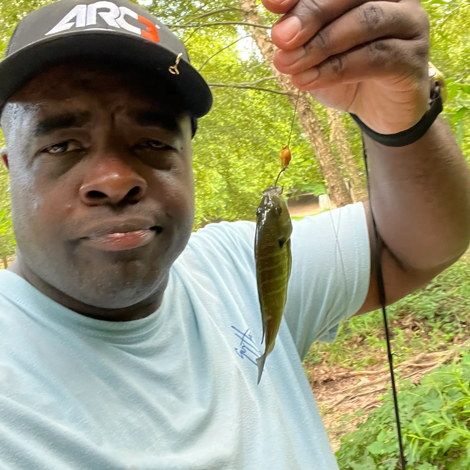 Bluegill caught on Fishbrain