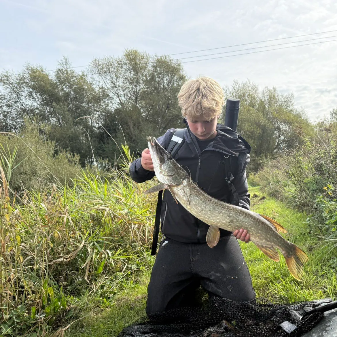 Northern pike caught on Fishbrain