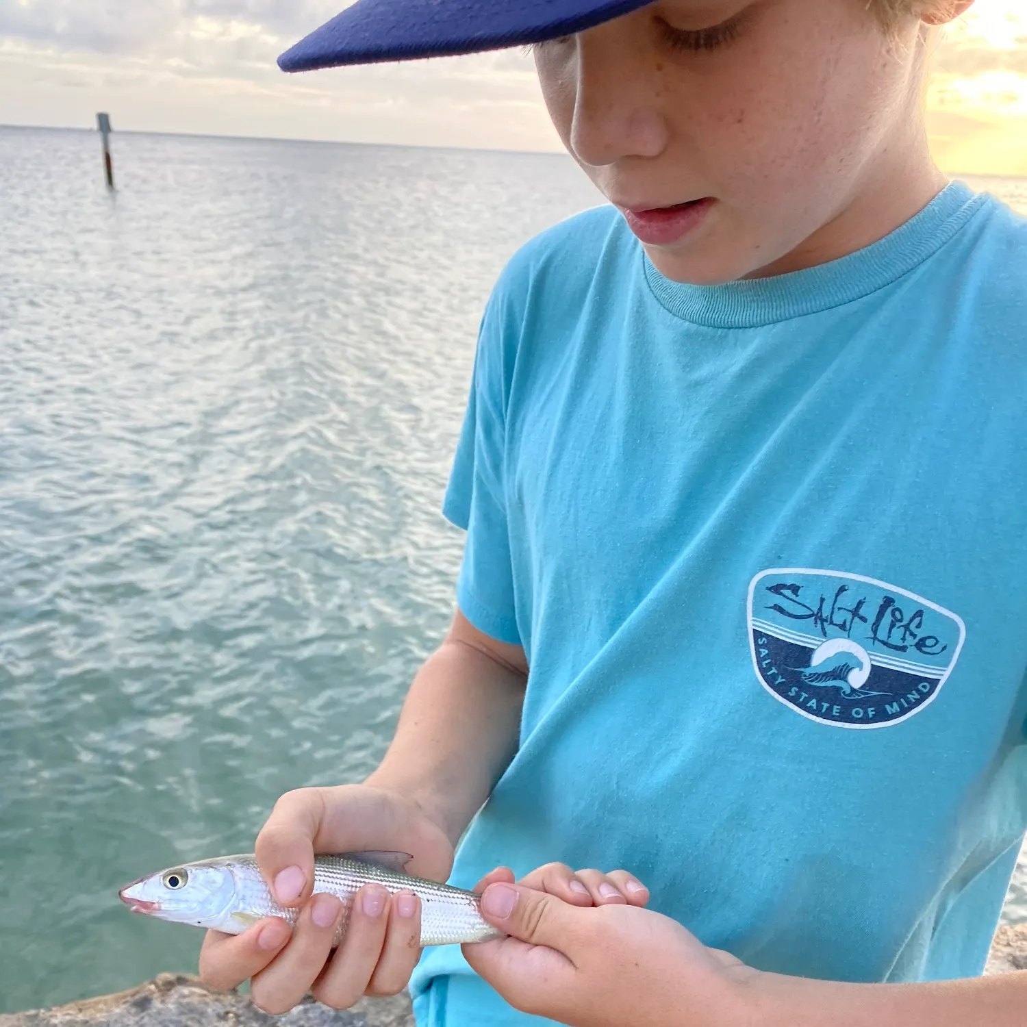The most recent West Atlantic bonefish catches on Fishbrain