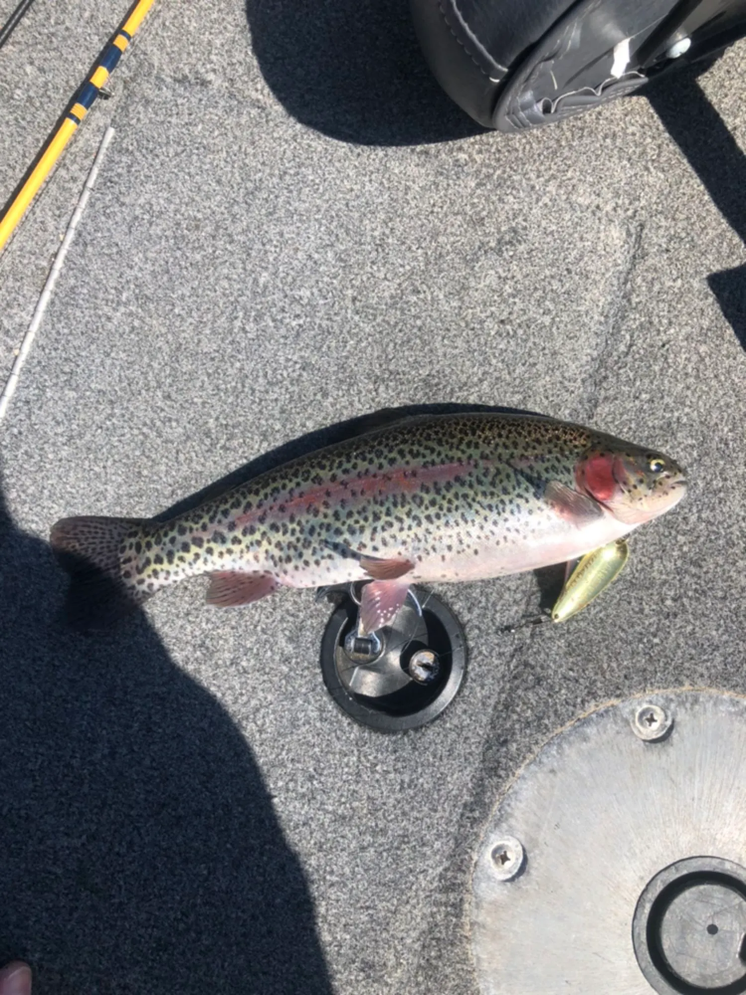 Post image from robran8