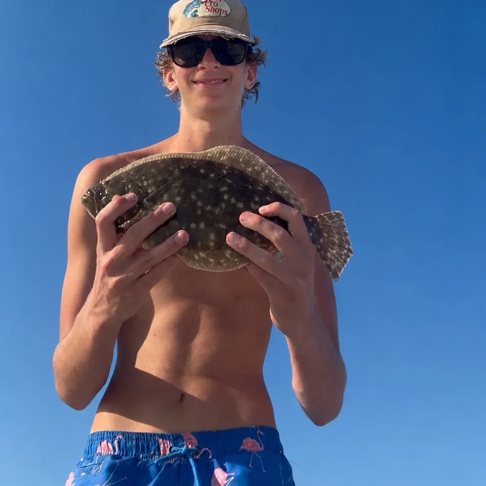 The most recent Gulf flounder catches on Fishbrain