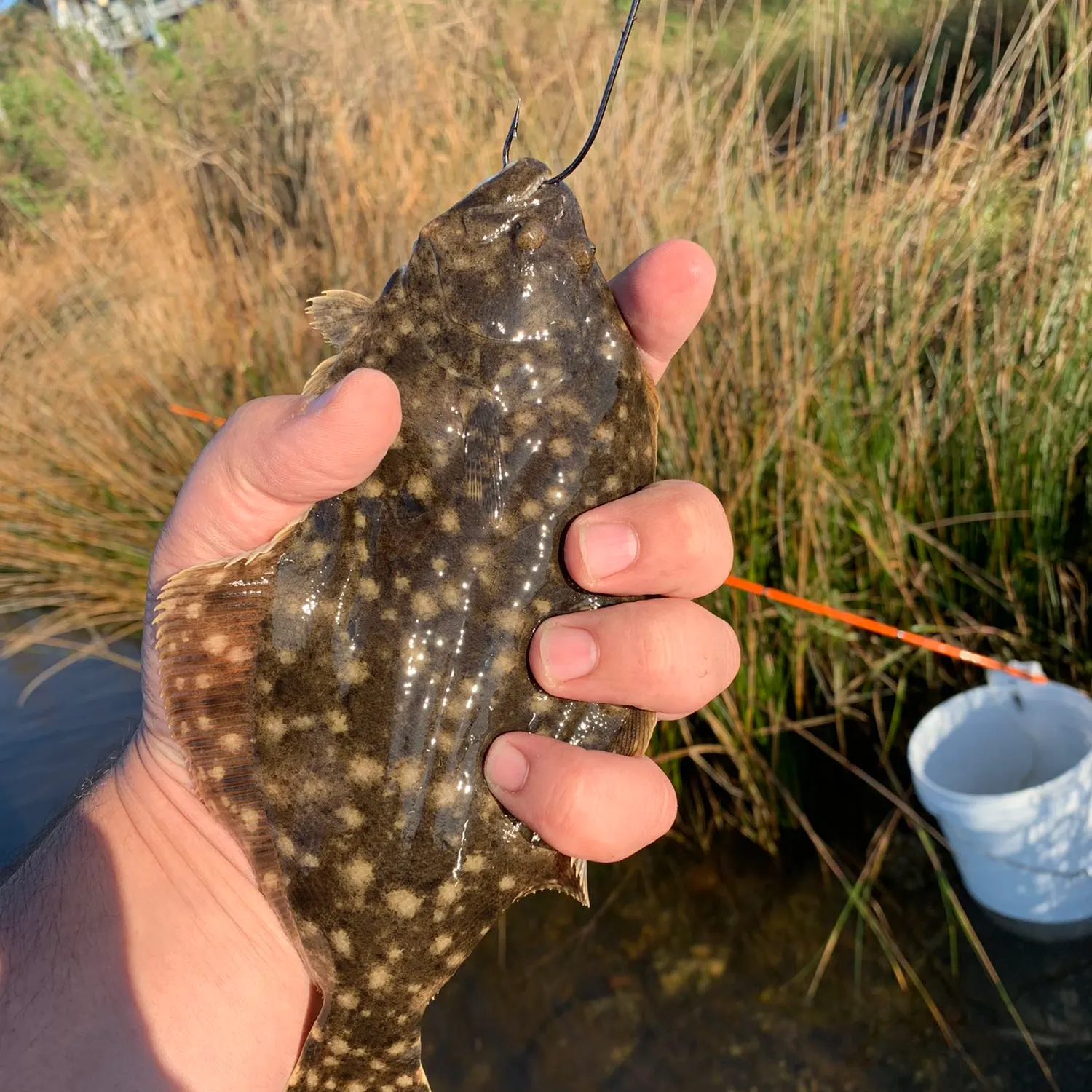 angler catch