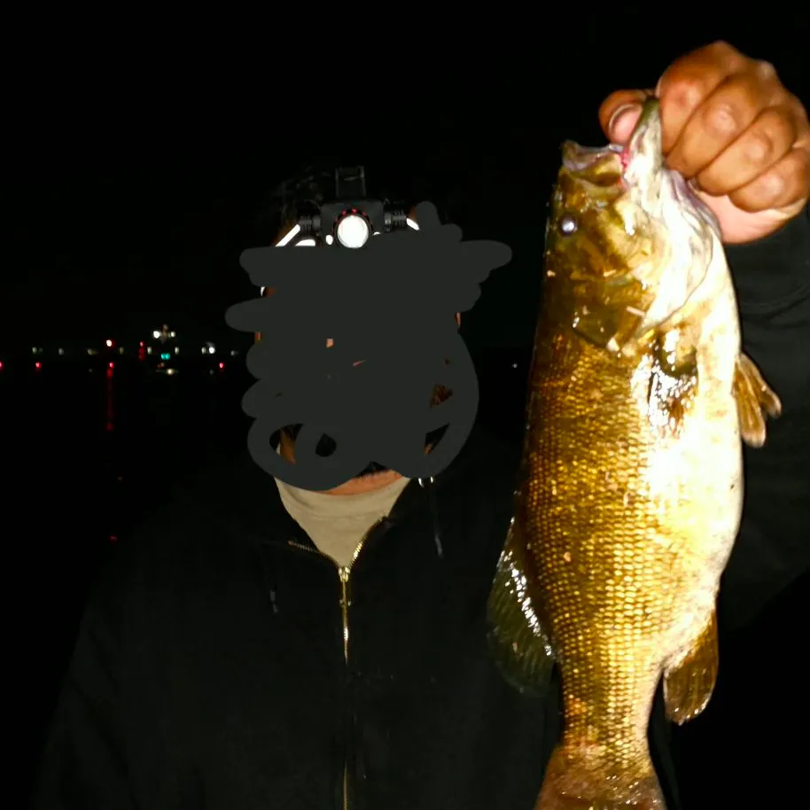 Smallmouth bass caught on Fishbrain