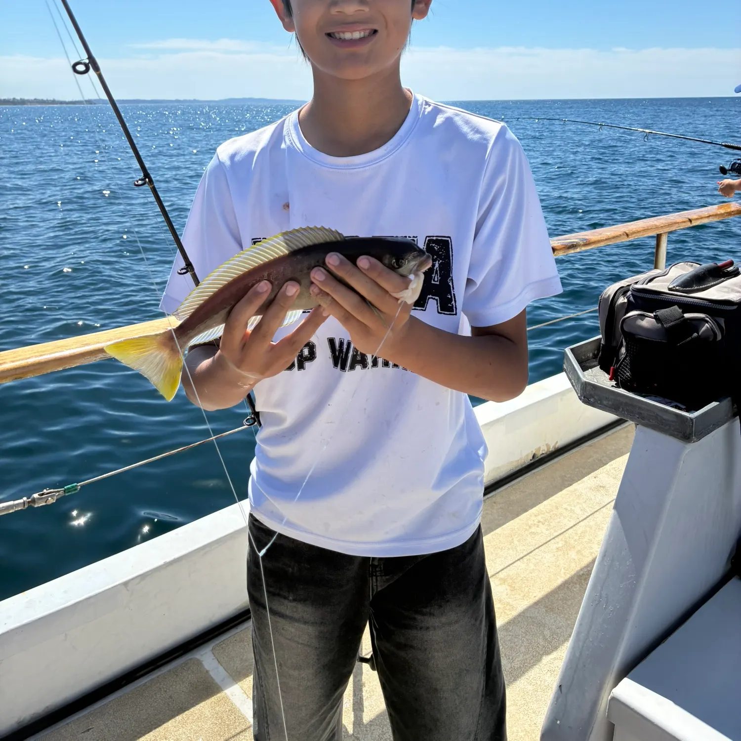 The most recent Ocean whitefish catches on Fishbrain