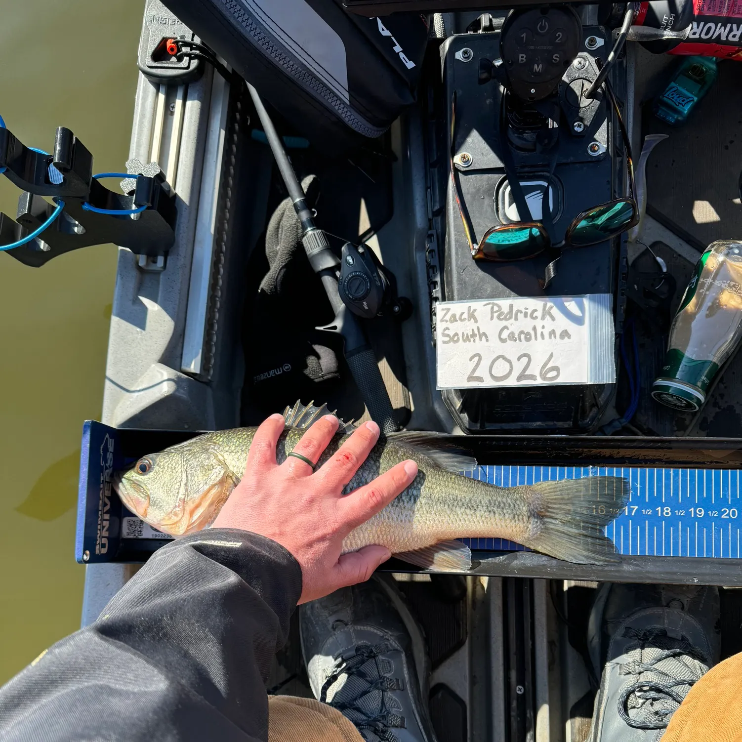 recently logged catches