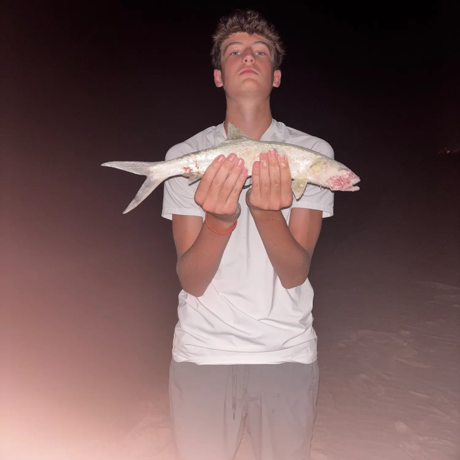 Ladyfish caught on Fishbrain