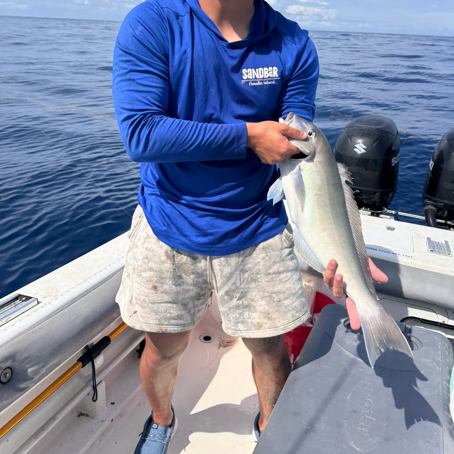 The most recent Grey tilefish catches on Fishbrain