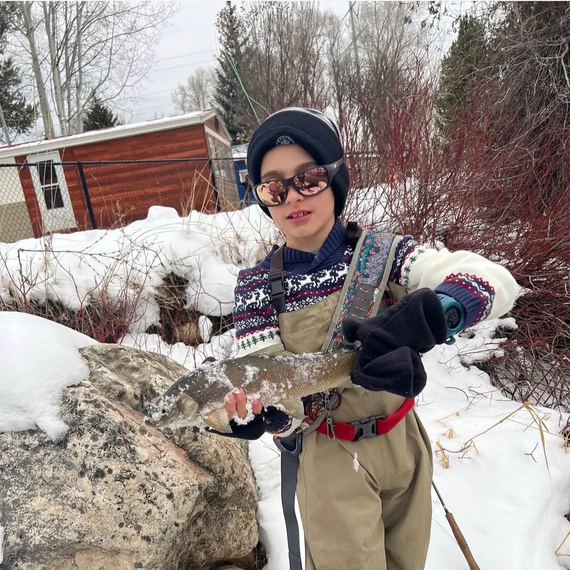 The most recent Mountain whitefish catches on Fishbrain