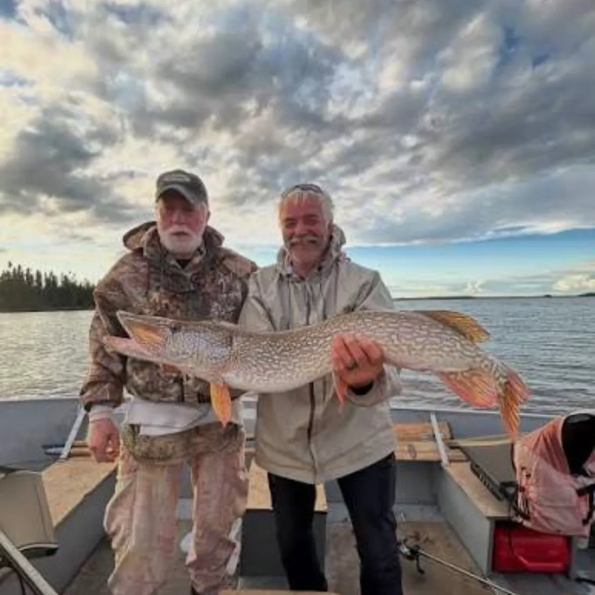 Northern pike caught on Fishbrain