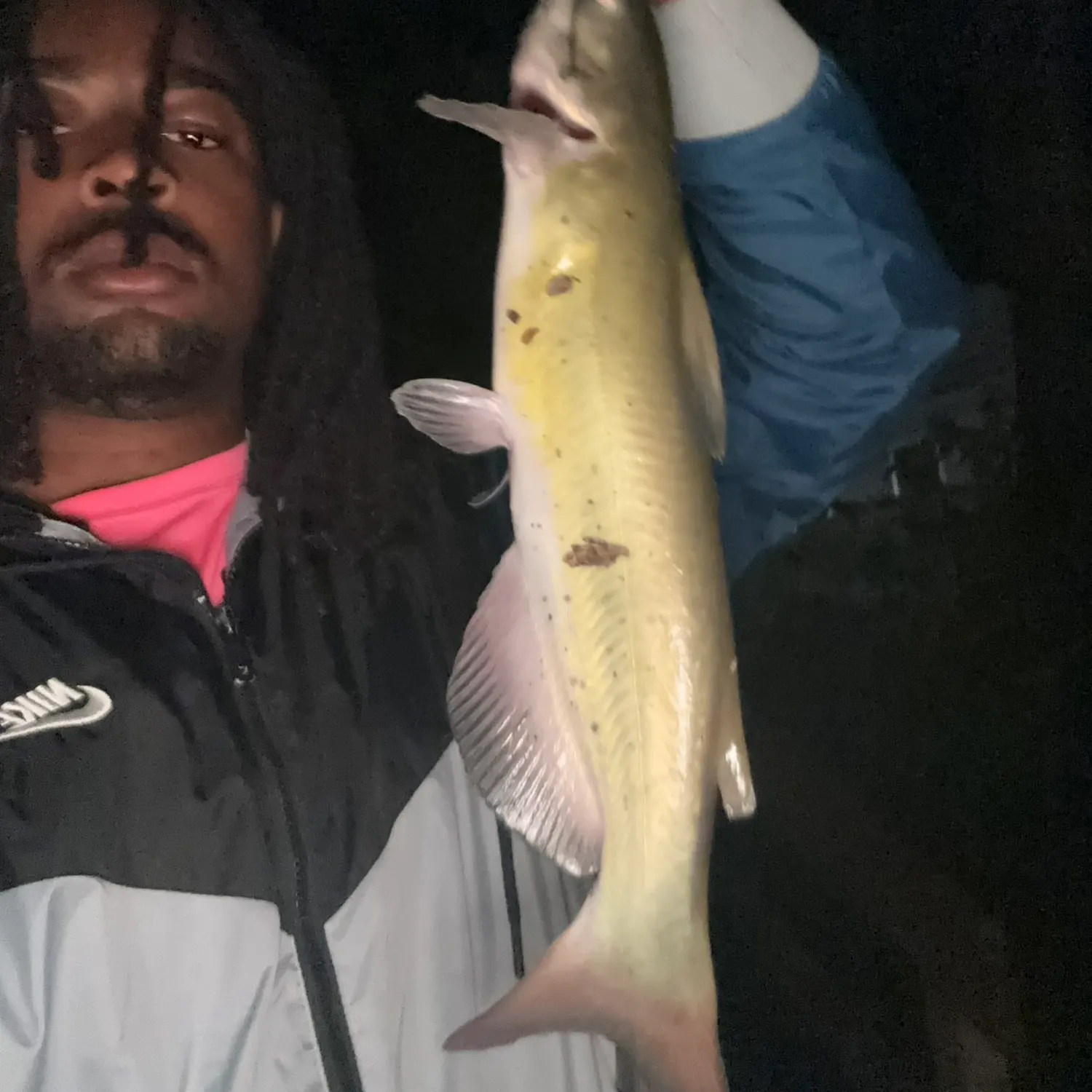 Channel catfish caught on Fishbrain