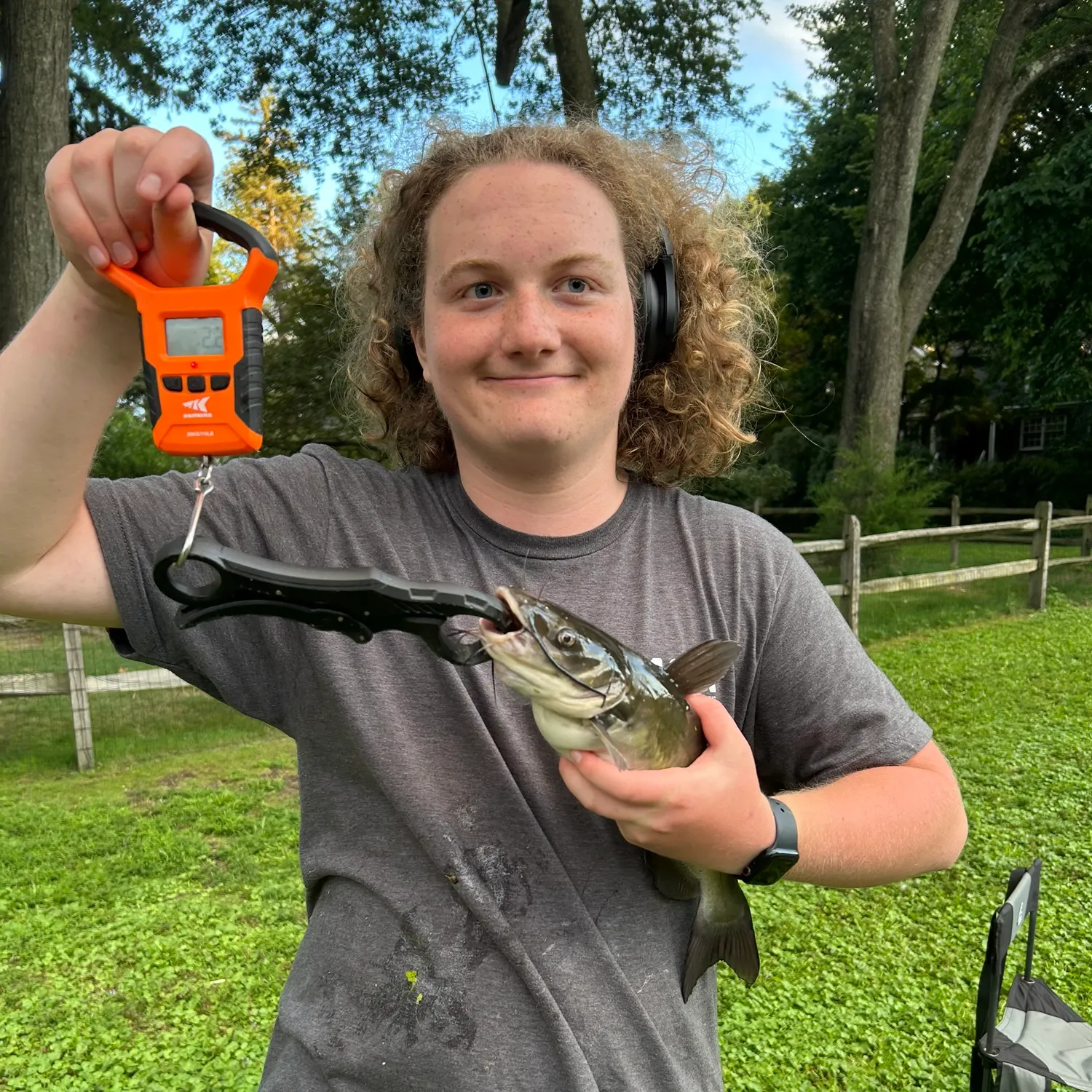 Channel catfish caught on Fishbrain