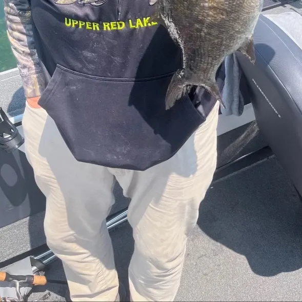 The most recent Smallmouth bass catches on Fishbrain