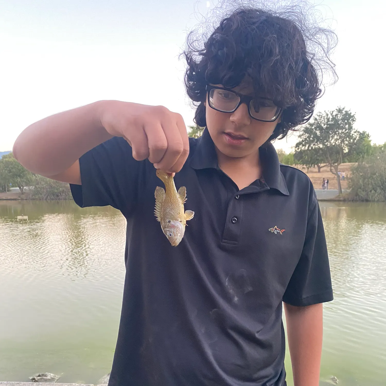 Redear sunfish caught on Fishbrain