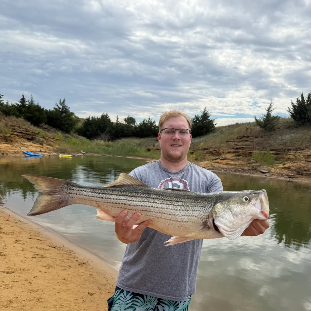 Striped bass caught on Fishbrain