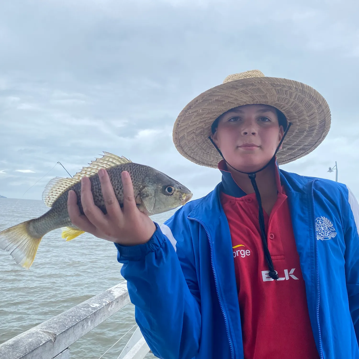 Silver grunt caught on Fishbrain