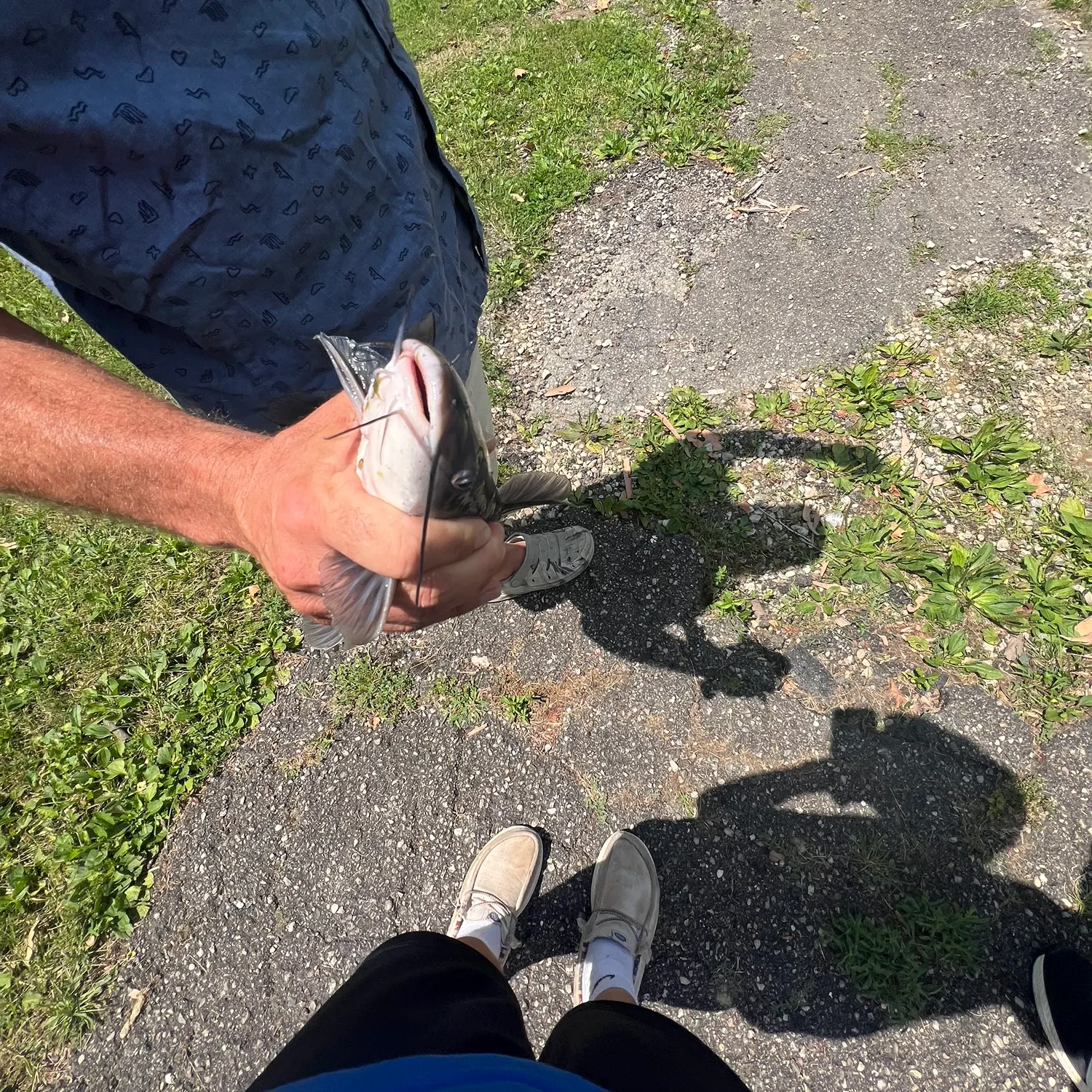 catch