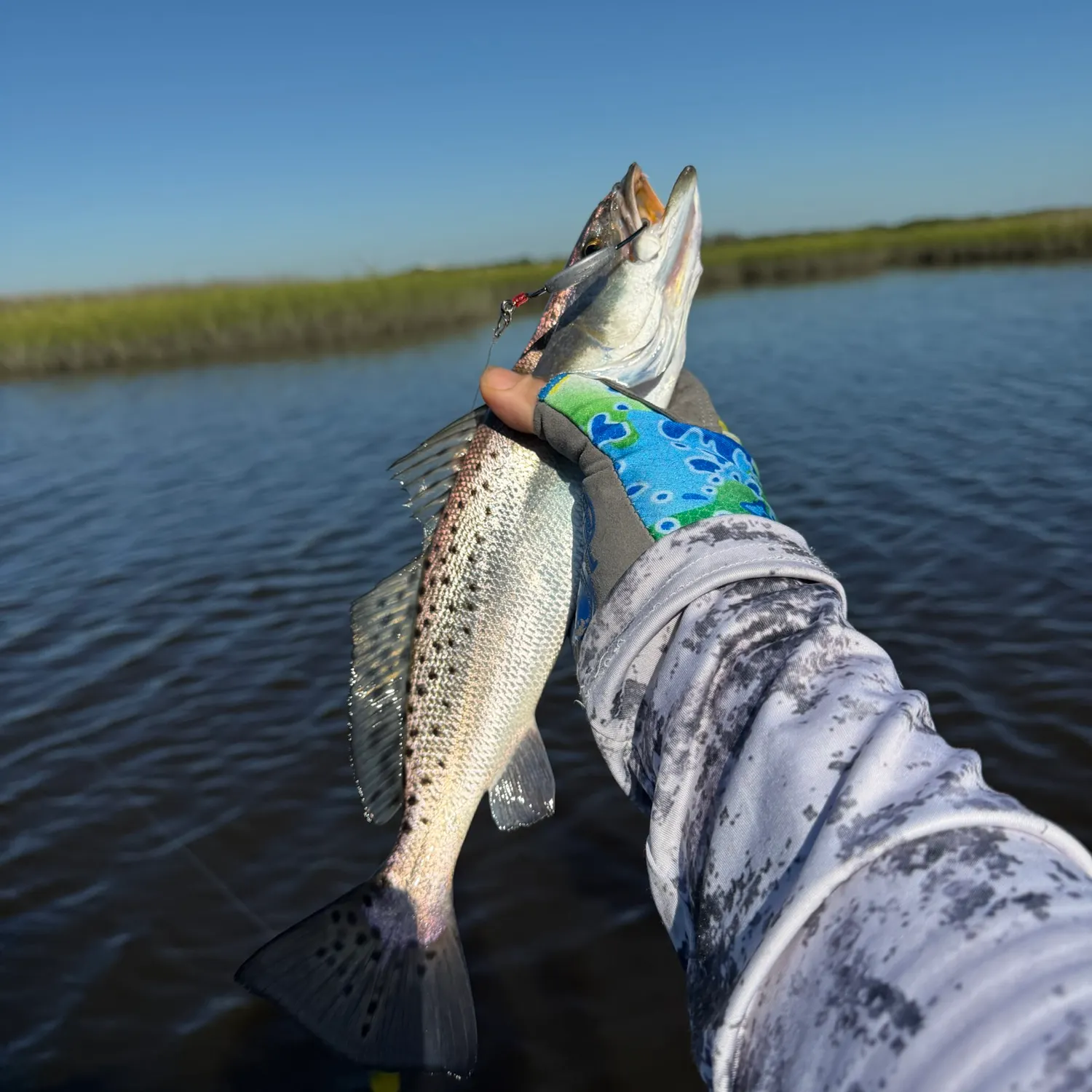Spotted seatrout caught on Fishbrain