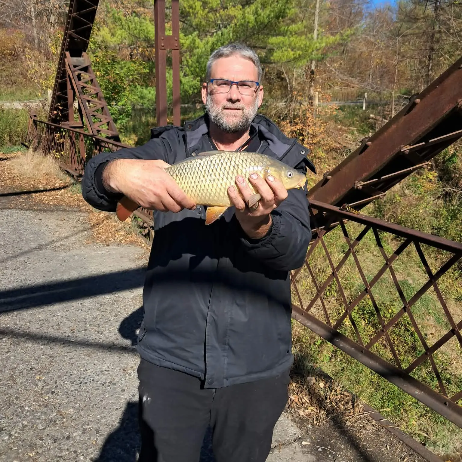 Common carp caught on Fishbrain
