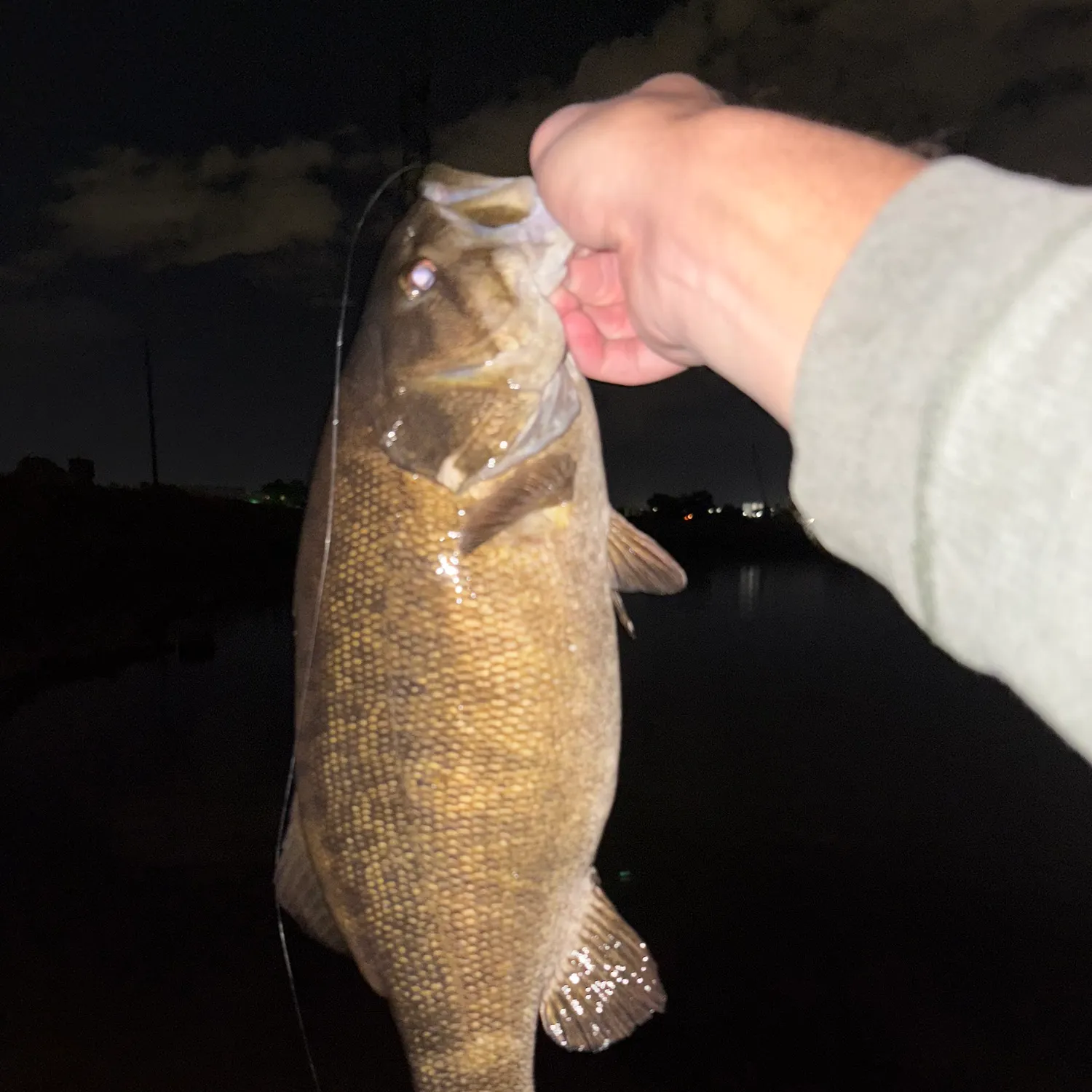 Smallmouth bass caught on Fishbrain