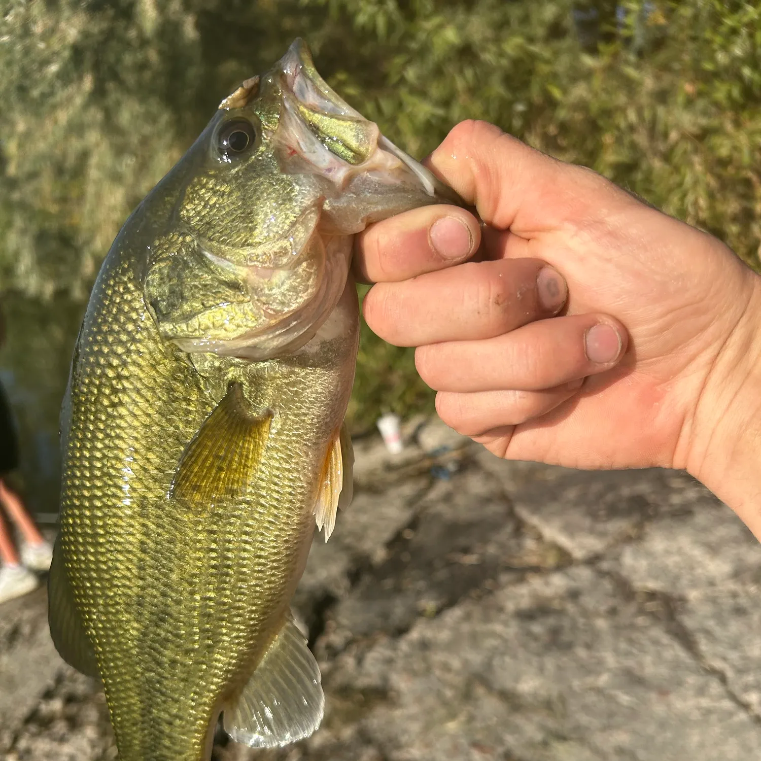 catch