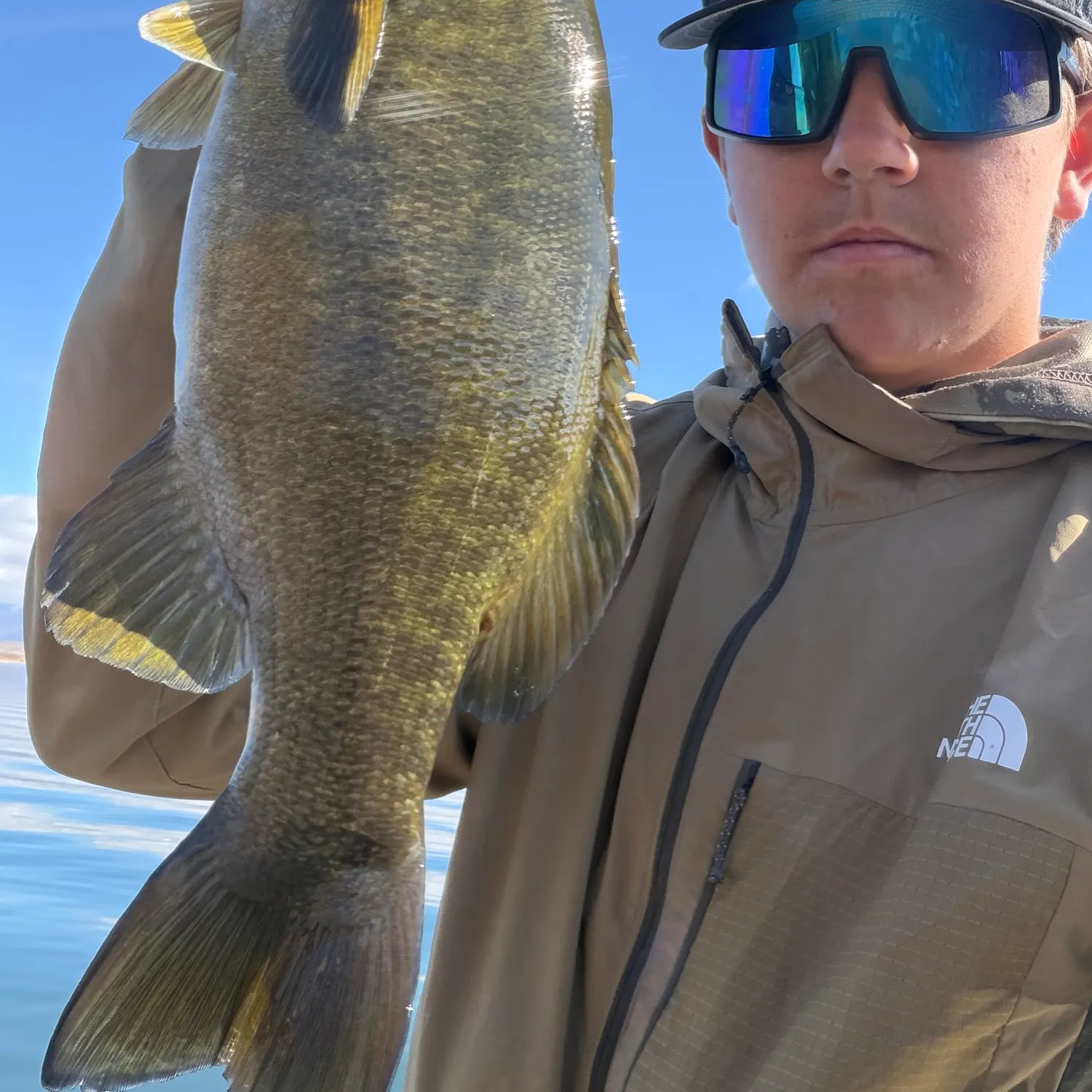Smallmouth bass caught on Fishbrain