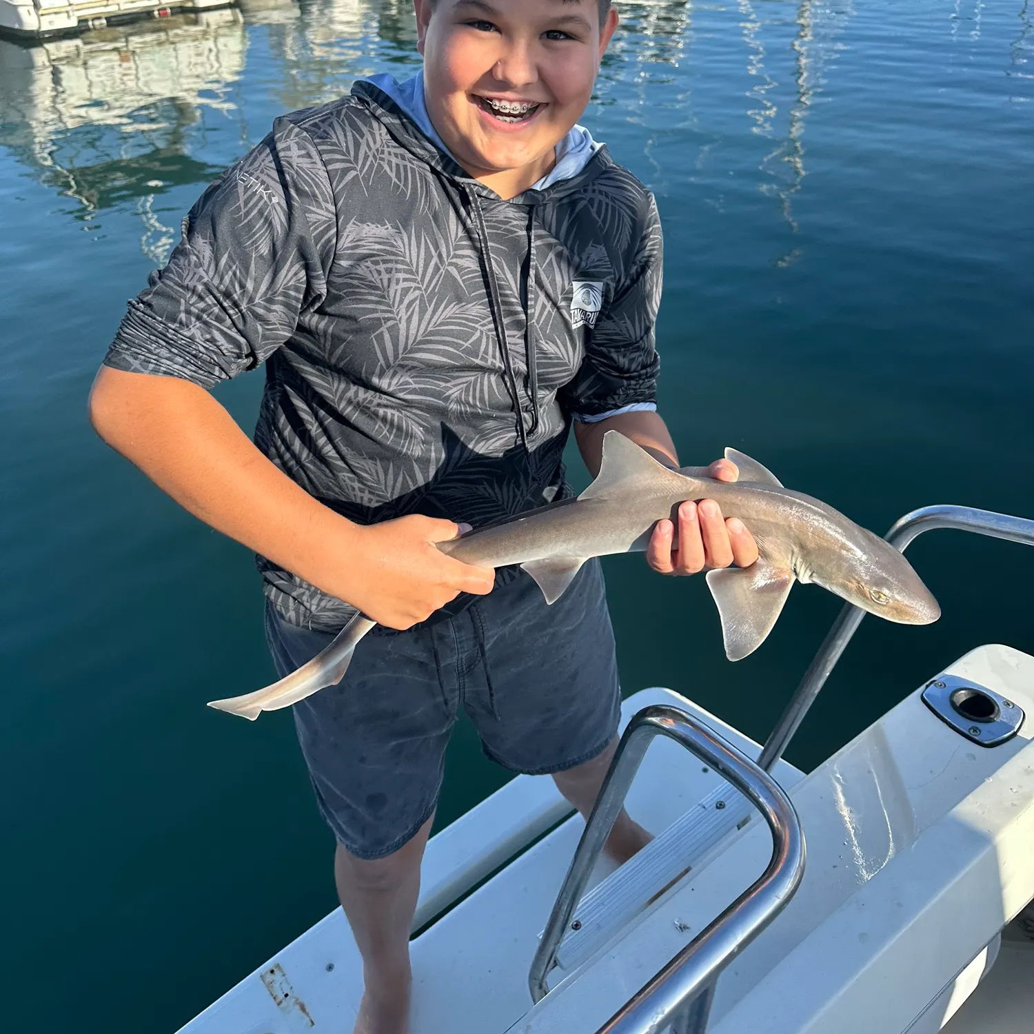 The most recent Starspotted smooth-hound catches on Fishbrain