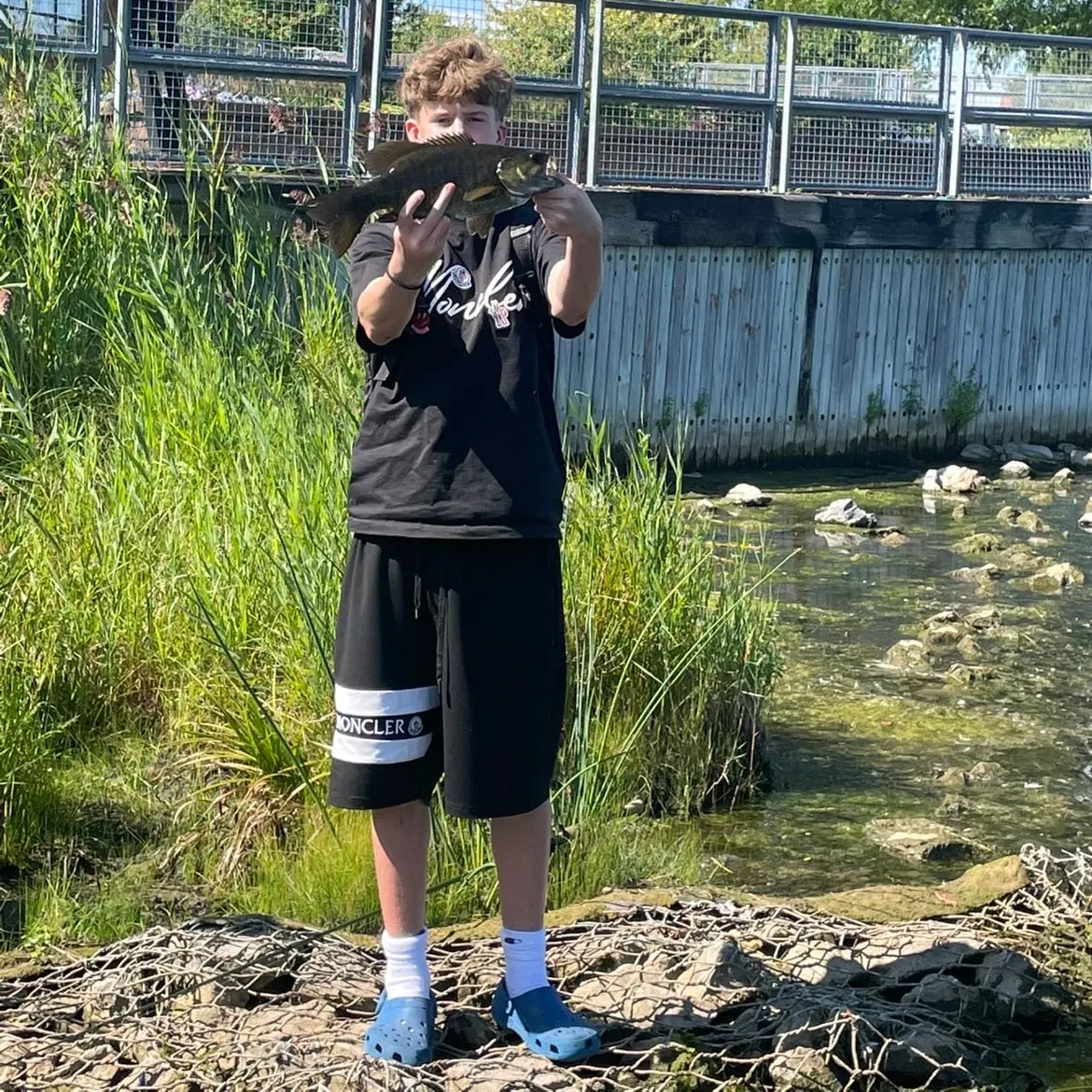 Smallmouth bass caught on Fishbrain