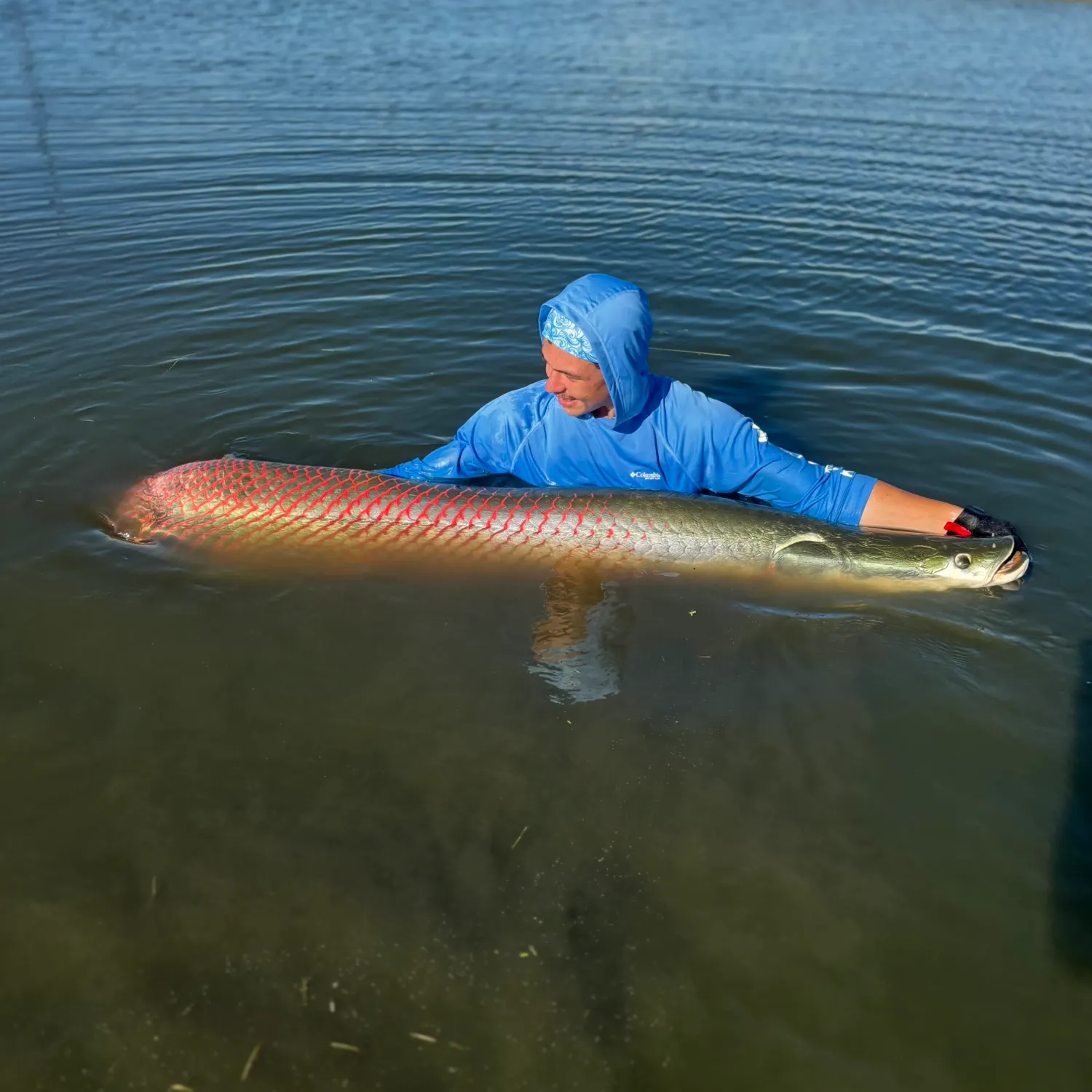 The most recent Arapaima catches on Fishbrain